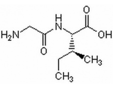 L-甘-异白二肽