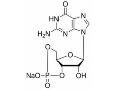 鸟苷-3'，5'-环磷酸钠盐