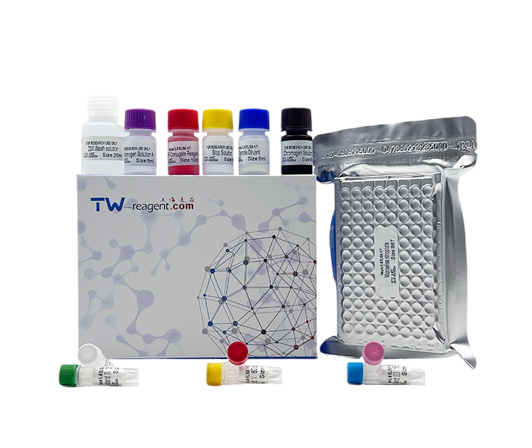 马T细胞免疫球蛋白粘蛋白分子3(TIM-3)试剂盒