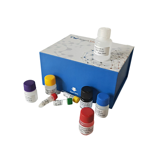 科研人工类主要组织相容性复合体DRβ1(HLA-DRB1)ELISA试剂盒 