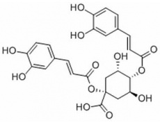 1,4-二咖啡酰奎宁酸