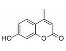 7-羟基-4-甲基香豆素