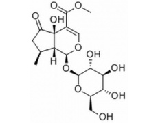 5-羟基马鞭草苷