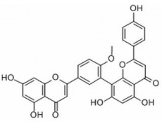 7-去甲基银杏双黄酮