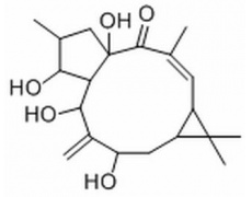 7-羟基千金子二萜醇