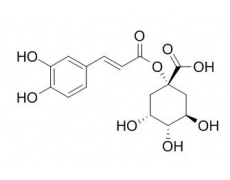 1-咖啡酰奎宁酸
