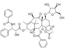 7-木糖基-10-去乙酰基紫杉醇 C