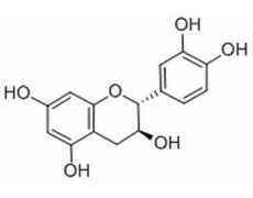 儿茶素