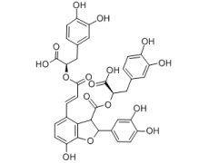 丹酚酸 B