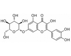 槲皮素-7-O-葡萄糖苷