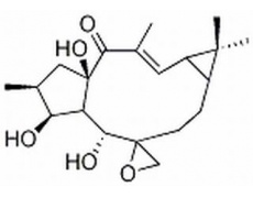 环氧续随子醇