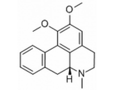 荷叶碱