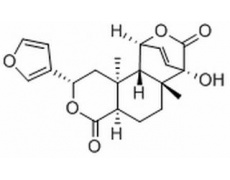 古伦宾