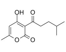 广藿香酮