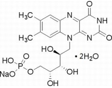 核黄素-5-磷酸钠盐二水物