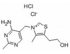 盐酸硫胺