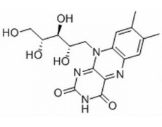 维生素B2