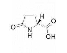 (R)-2-吡咯烷酮-5-羧酸