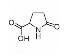 DL-2-吡咯烷酮-5-羧酸