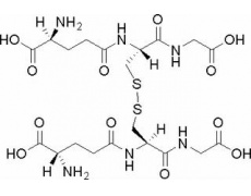 氧化型谷胱甘肽