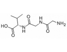 L-甘-甘-缬三肽