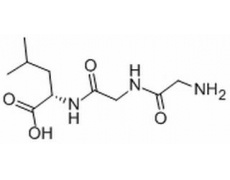 L-甘-甘-白三肽