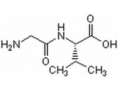 L-甘-缬二肽