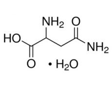DL-天冬酰胺一水物