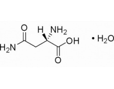 L-天冬酰胺一水