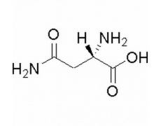L-天冬酰胺