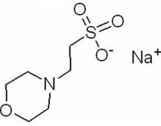 2-(N-吗啡啉)乙磺酸钠盐