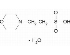 2-(N-吗啡啉)乙磺酸