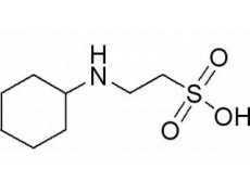 2-(环己胺)乙磺酸