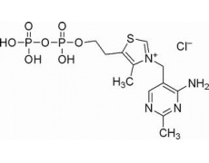 羧化辅酶