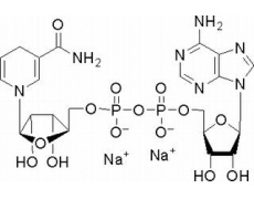 还原型辅酶Ⅰ二钠盐
