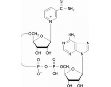 硫代-NAD