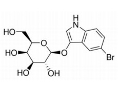 5-溴-3-吲哚基-β-D-吡喃半乳糖苷