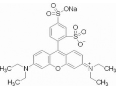 酸性罗丹明B