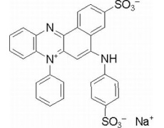 酸性红101