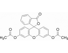 二乙酸荧光素
