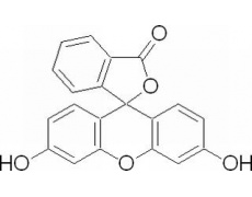 荧光红