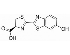 D-虫荧光素游离酸