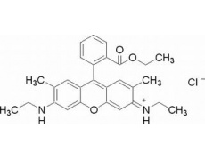 玫瑰红6G