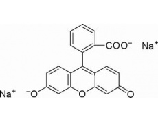 荧光素钠