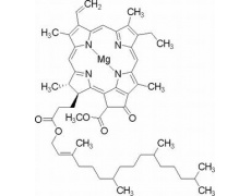 叶绿素A