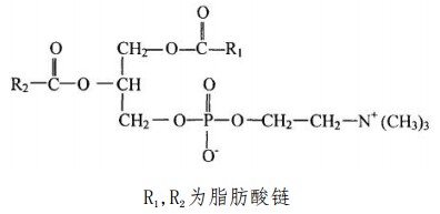 中药标准品