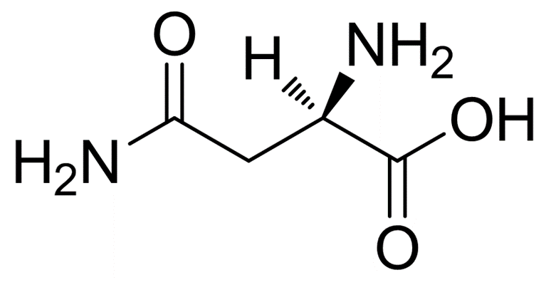 氨基酸类