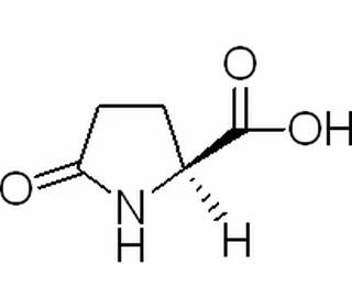 氨基酸类