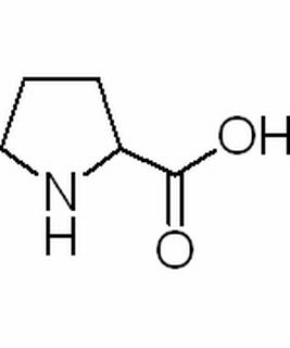 氨基酸类