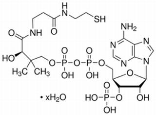 酶类
